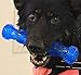 Large Squeaky Dogs Toy For Semi Aggressive Chewers; Big Tough 11