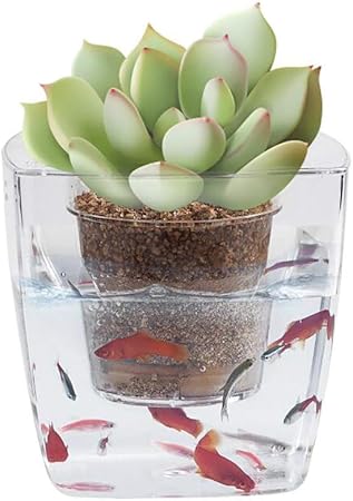 Dishykooker Water Herb Garden Hydroponics Growing System Organic Self Watering Planter Indoor Sprouts Gardening Starter Kit Aquaponics Small Fish Tank Best Gift Set