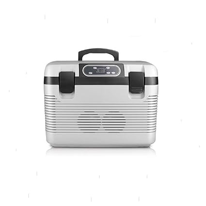 Amazon.es: Refrigerador Del Coche 19L Peritoneal LíQuido ...
