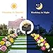 MMHF Outdoor Solar Garden Stake Lights,Upgraded LED Solar Powered Light with 6 Rose Flowers, 3 Pack Colorful Waterproof Solar Decorative Lights for Garden, Patio, Backyard (White＆Pink＆Yellow)