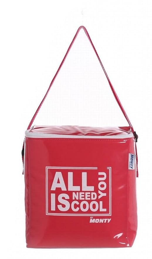 Juinsa Nevera All You Need is Cool de PVC Roja 22 x 14 x 25 cm ...