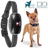 GoodBoy Small Rechargeable Dog Bark Collar For Tiny To Medium Dogs by Waterproof And Vibrating Anti Bark Training Device That Is Smallest & Most Safe On Amazon - No Shock No Spiky Prongs! (6+ lbs)