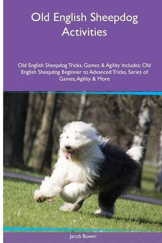 old english sheepdog agility
