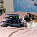 Easyology Cat Toy - Interactive Fun with 3-Levels - Cat Teaser for Kittens