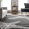 nuLOOM Minnie Coastal Starfish Area Rug, 3' x 5', Gray