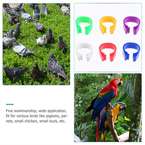 UPKOCH 100 Stücke Klemmringe Hühner Ringe Hühnerringe ohne Nummerierte Beinringe Taubenringe ID Identifikation Vogel… – Bild 7