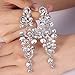 BriLove Silver-Tone Dangle Earring Earrings Women's Wedding Bridal Bohemian Boho Crystal Floral Chandelier Hollow Clear