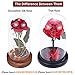 sexyrobot Beauty and the Beast Red Rose, Silk Flower with LED Light in a Glass Dome for Home Decor Holiday Party Wedding Anniversary Birthday Valentine's Day Gift
