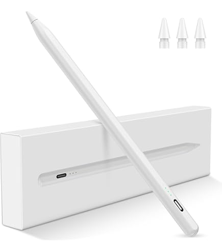 Amazon.com: EVACH iPad A16 Pencil with Fast Charging, Pixel