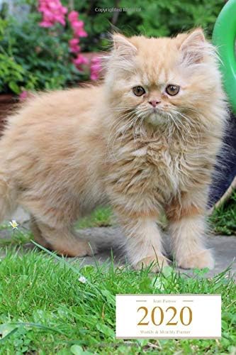 2020 Weekly & Monthly Planner: Red Persian Kitten, Organizer Diary with Goal Setting and Gratitude Sections (Positive Goals 6x9) Paperback – November 29, 2019