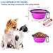 Ladoogo Heavy Duty Dog Leash - Comfortable Padded Handle, 5 ft Long - Dog Leashes for Medium Large Dogs with A Free Collapsible Pet Bowl (Purple)