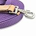 Southwestern Equine 35′ Flat Cotton Web Lunge Line with Bolt Snap & Rubber Stop (35′, Lavender)thumb 4
