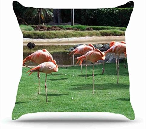 Square 18 X 18 Inches Cotton Pillowcases Decorative Pillow Cover Case with Hidden Zipper Decor Cushion Covers - Animals flamingos many s birds nature reserve grass for plane