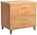 Bush Home 2 Drawer Lateral File Cabinet, Letter and Legal-Size Document Storage for Home or Professional Office, Somerset Collection, Maple Cross