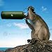 Simian Insulated 40oz Water Bottle Travel Flask for Hot or Cold Drinks (Green)