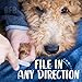 Bona Fide Beauty Pet Nail File Made of Czech Glass, Quiet and Painless Pet Nail Filer for Small Dogs, Cats, Birds, and Rabbits
