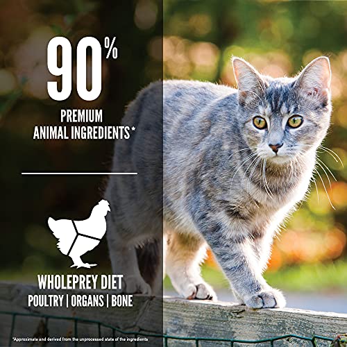 ORIJEN Original Cat, Grain Free Dry Cat Food for All Life Stages, With