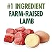 Nutro Limited Ingredient Diet Adult Canned Soft Wet Dog Food Premium Loaf Lamb & Potato Recipe, 12.5 oz. Cans (12 Count, Pack of 1)