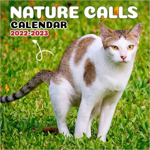 Amazon.com: Nature Calls Calendar 2022-2023: Pooping Cats Mini Monthly Planner | 21 Months From April 2022 To December 2023 | Funny Pooping Cats Calendar Gag Gift For Birthday, Christmas, New Year White: 9798434711654: Frederick: Books