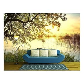 Tree Near Lake During Sunset. Beautiful Natural Landscape - Removable Wall Mural | Self-Adhesive Large Wallpaper - 66x96 inches