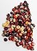 David's Garden Seeds Corn Dent Painted Mountain D2161A (Multi) 100 Organic Seeds
