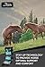 Kensington KPP Miniature Horse Fly Boots - Fly Pony Horse Boots Perfect for Equine Leg Wraps and Maximum Horse Fly Protection