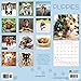 2019 Avalon Wall Calendar, Puppies, 12 x 12 inches (84439)
