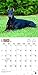 Dobermans 2017 Calendar