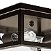 GLOBE Electric 65748 2-Light Flush Mount Ceiling Light Fixture, Dark Bronze, 4 Clear Glass Panes, Bedroom Lights for Ceiling-Mount, Bulb Not Included
