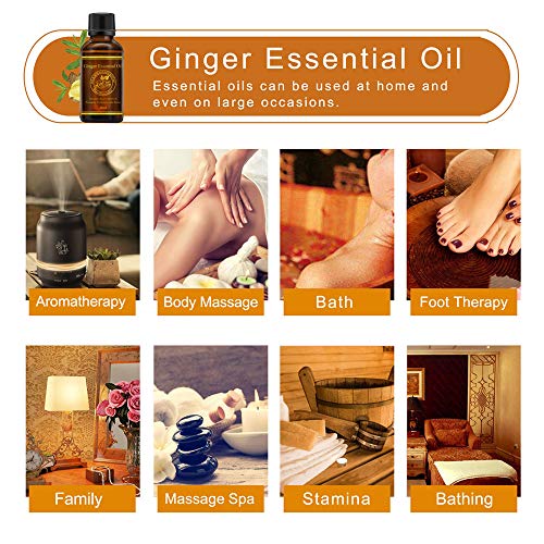30ml Ginger Oil Essential Pure Natural Plant Therapy Lymphatic Beauty Drainage Ginger Body Massage Spa Oil for Aromatherapy, Skin, Bath, Foot Therapy, Family, Stamina Bathing Relaxation (C) - Thumbnail 3