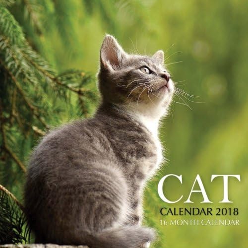 Cat Calendar 2018: 16 Month Calendar