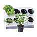Watex Pixel Garden Desktop, Kitchen Farm, White primary