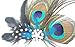 TOBATOBA Cute Peacock Feather Hair Clip