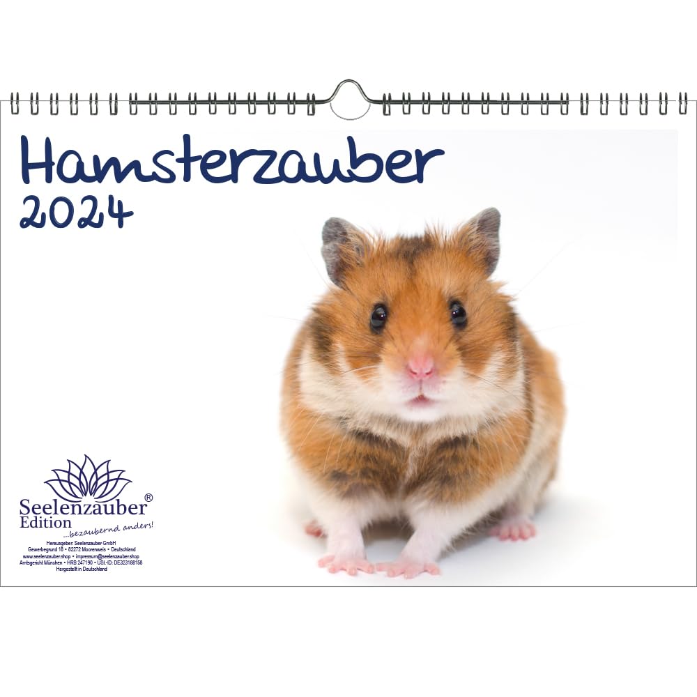 Hamster Magic DIN A4 Calendar for 2024 Pet Hamster Seelenzauber