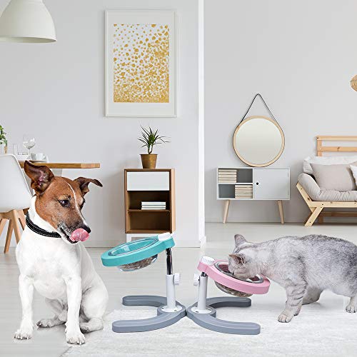 Pantula Cat Bowls Tilted Dog Cat Food Bowls Raised cat Food Bowl Cat