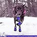 Fantastic Zone Waterproof Pet Boots Dog Boots for Various Size Dogs Labrador Husky Paw Protectors Shoes 4 Pcs