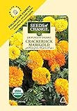 Seeds Of Change 8173 Certified Organic Crackerjack