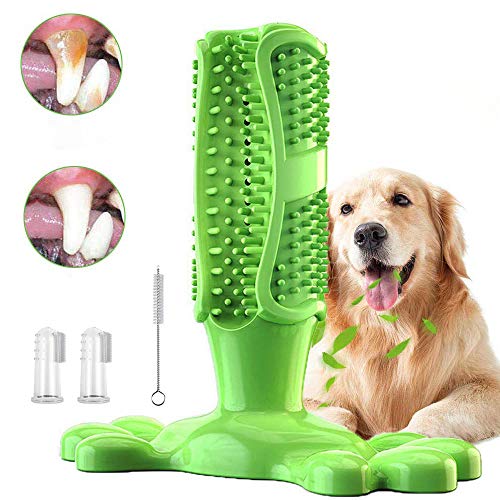 green dog toothbrush