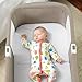 Chicco Lullago Travel Crib, Lavender