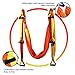 EUROSPORTS High Load Capacity Aerial Yoga Swing/Inversion/Hammock/Sling for Flying Antigravity with a Carrying Bag