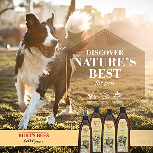 Burt's Bees for Dogs Care Plus+ Natural Hydrating Waterless Shampoo