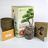 EasyStart Bonsai Kit - Everything Needed to Grow 4 Beautiful Bonsai Trees