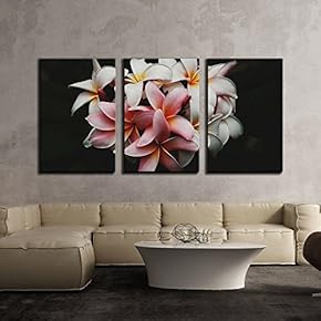 White Pink Flowers in Black Background x3 Panels