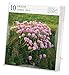 Flowers 2015 Gallery Calendar (Workman Gallery Calendar)
