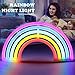 AIZESI Rainbow Neon Lights,Rainbow Christmas Lights,Neon Wall Light Battery Operated/USB Bedroom,Desk,Bar,Birthday Party,Living Room,Girl Room,Wedding Bathroom Party Festival Decorations