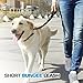 3 in 1 Short Dog Leash - Shock-Absorbing Bungee with Padded Handle - Elastic Attachment for Your Regular Leash, Control Handle, or Traffic Leash – Suitable for Medium and Large Dogs