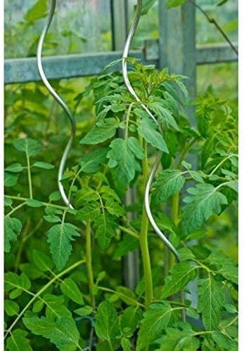 ARTECSIS Tutor de plástico 90 cm, producción de Plantas, Tomates y ...