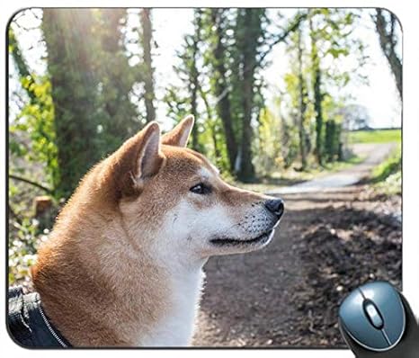 Amazoncom Shiba Inu Forest Dog Walk Customized Mouse