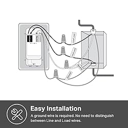 Kasa Matter Smart Light Switch: Voice Control