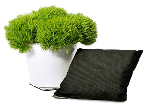 Ever Bamboo Room Deodorizer & Dehumidifier w/ Natural Bamboo Charcoal (200 g)